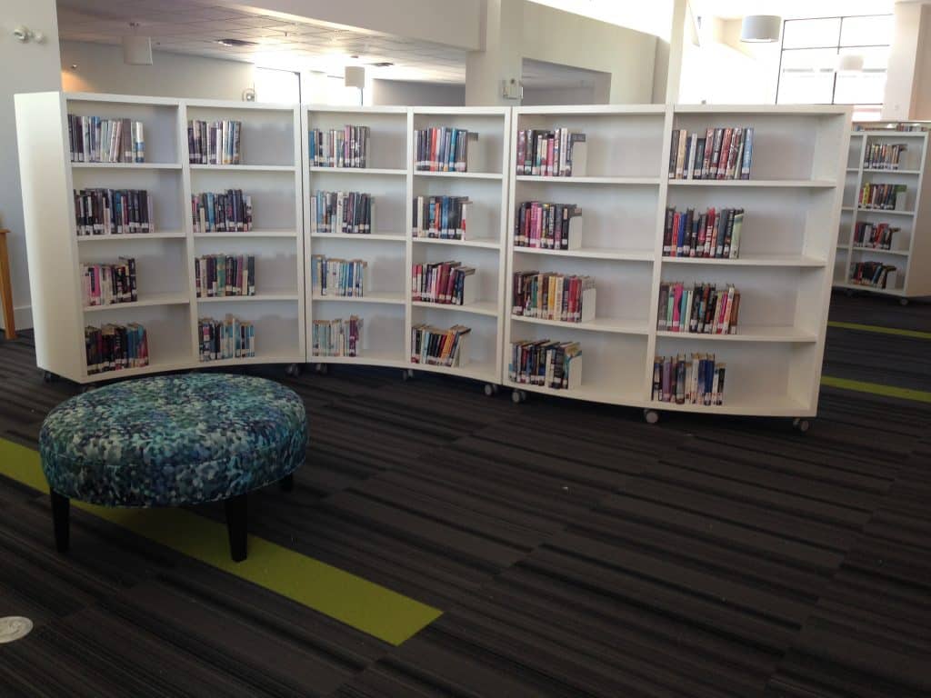 Adult section