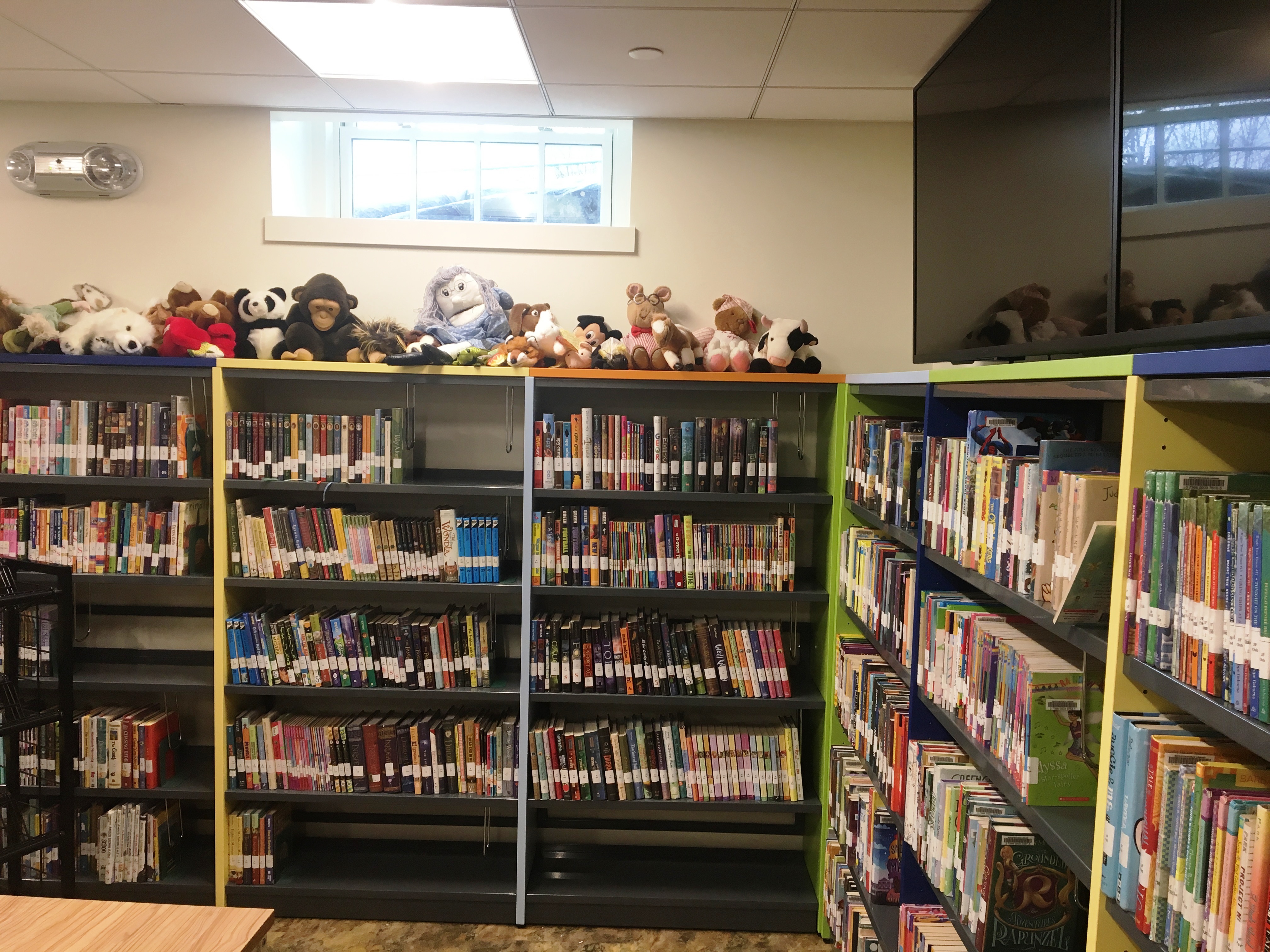 BCI RatioPublicLibraryShelving (6)