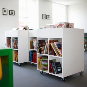 Midi and Maxi Book Browsers