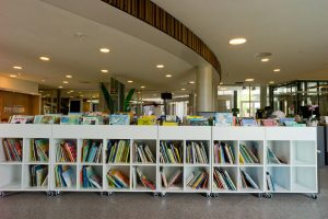 Midi and Maxi Book Browsers