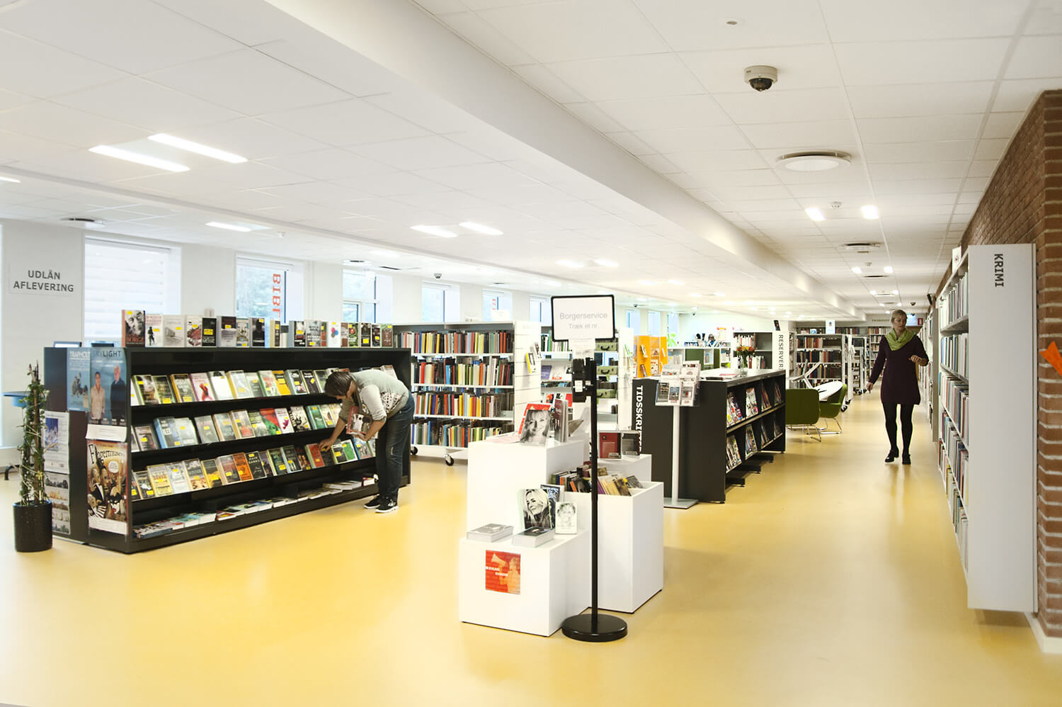 Maria Podium Display